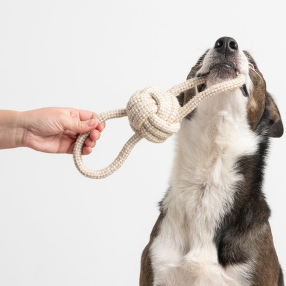 Pull & Play Rope Toy For Dogs - Picture 3 of 6